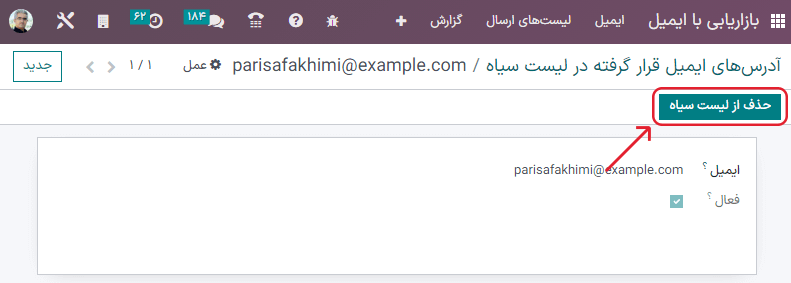 نمایی از فرم جزئیات تماس وارد شده به لیست سیاه در برنامه بازاریابی با ایمیل سازمانیار.