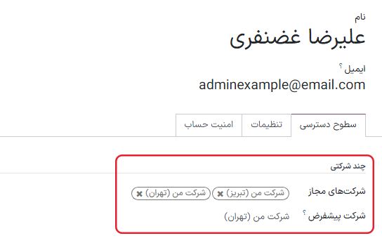 نمایی از فرم کاربر با تأکید بر قسمت چند شرکتی در سازمانیار.