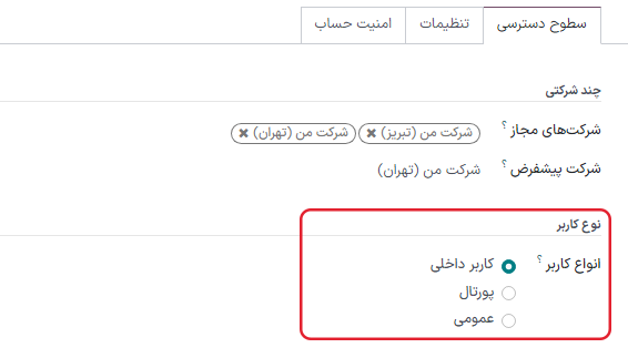 نمایی از فرم کاربر در حالت توسعهدهنده با تمرکز بر فیلد نوع کاربر.