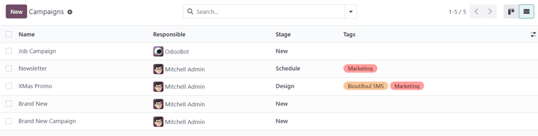 صفحه کمپین با نمای لیست در برنامه بازاریابی با ایمیل.