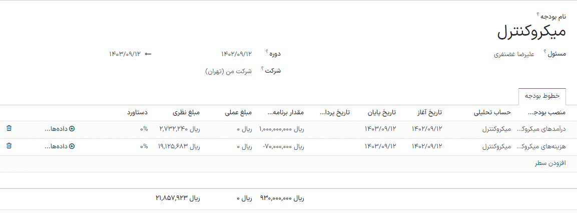 budget lines display