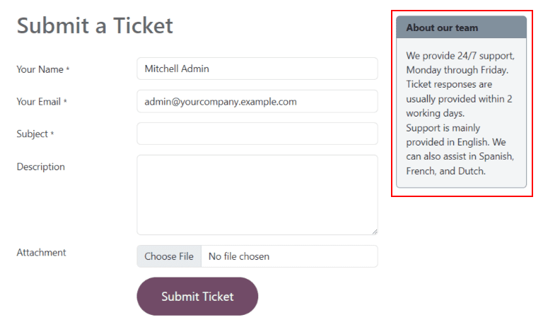 نمایی از فرم وب سایت تیم سامانه پشتیبانی که توضیحات تیم را نمایش می‌دهد.
