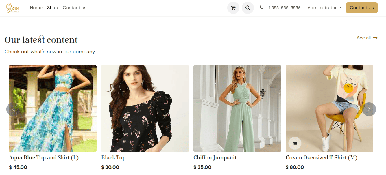 نمونه‌ای از بلوک کاتالوگ برای محصولات خاص