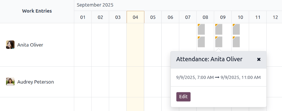 یک ردیف از مغایرت‌ها، که در یک رکورد جزئیات مغایرت نمایش داده شده است.