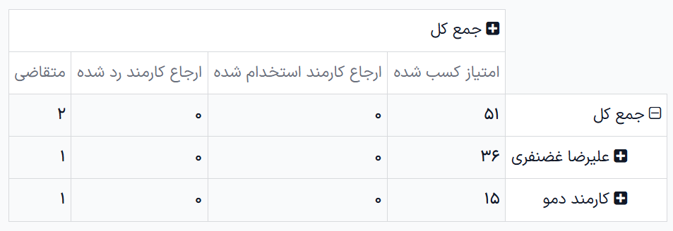 گزارش سفارشی شده که نشان می‌دهد کدام کارمندان بیشترین معرفی و استخدام را داشته‌اند.