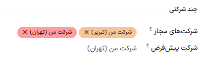 نمایی از فرم کاربر با تأکید بر قسمت چند شرکتی در سازمان‌یار.