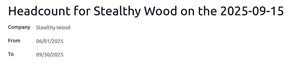 فرم گزارش تعداد کارکنان تکمیل‌شده برای سه ماهه سوم سال ۲۰۲۵.