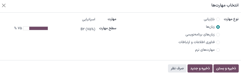 فرم مهارت به همراه اطلاعات تکمیل شده.