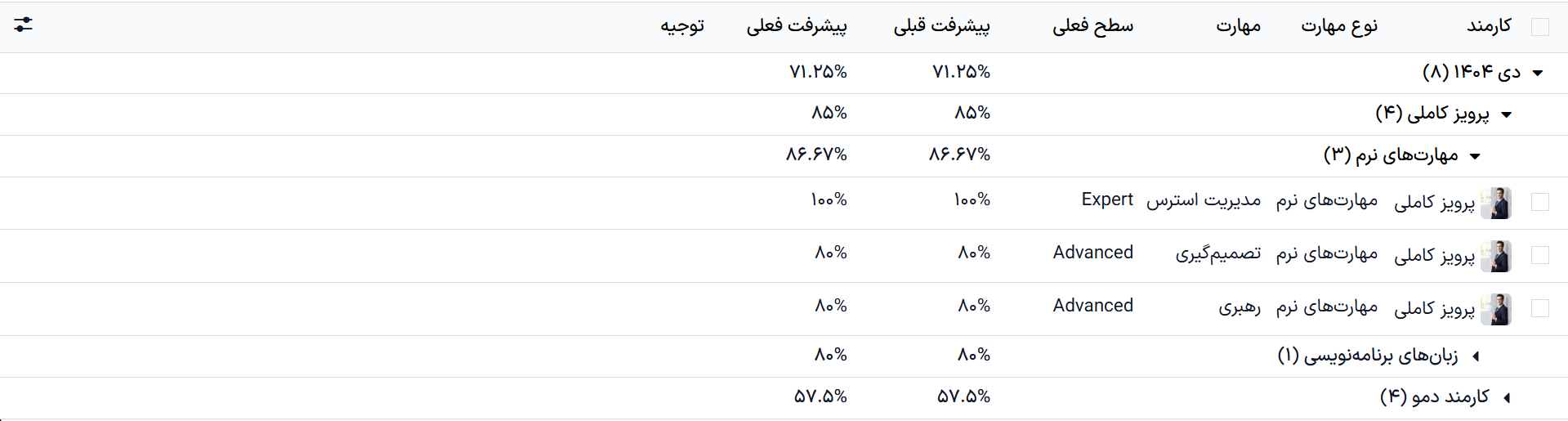 گزارشی که تمام مهارت‌ها را به تفکیک کارمند نشان می‌دهد.
