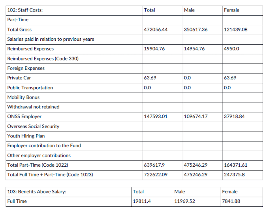 Social Balance Sheet PDF Content.