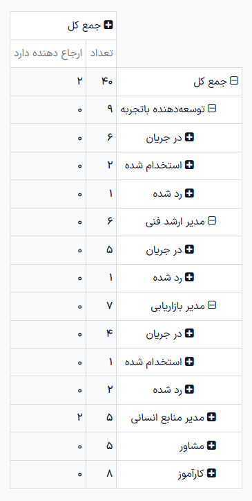 نمای دقیق جدول پیوت که متقاضیان استخدام شده از طریق معرفی‌نامه را نمایش می‌دهد.