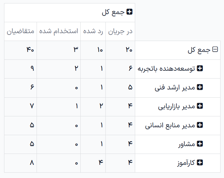 نمای دقیق جدول پیوت.