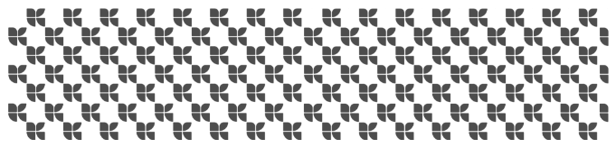 tashilgostar pattern 2