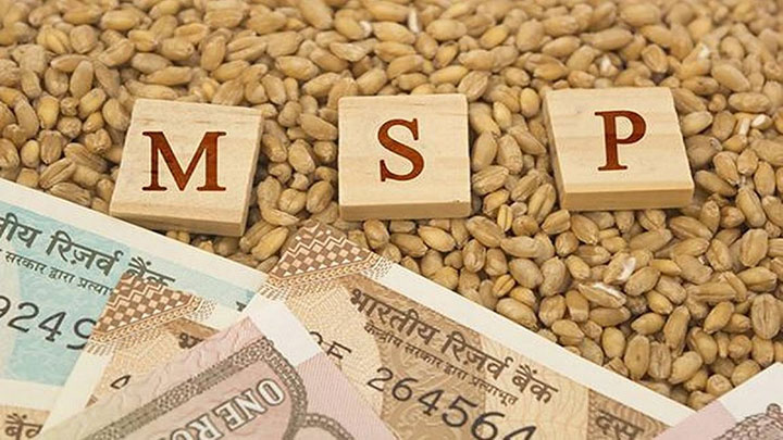 MSP چیست و چرا این‌قدر محبوب است؟