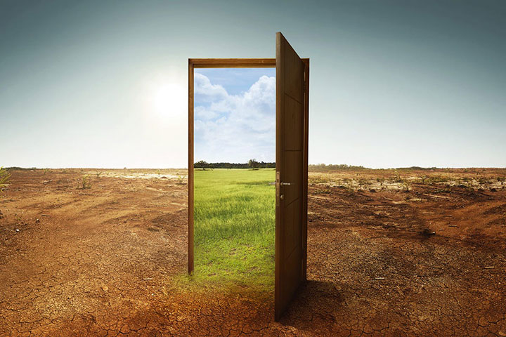 illusion of efficiency and real value creation تفاوت «توهم کارایی» با «خلق ارزش واقعی»