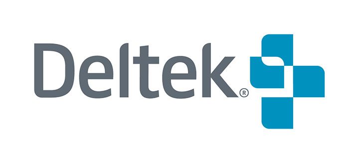 Deltek Vision Software