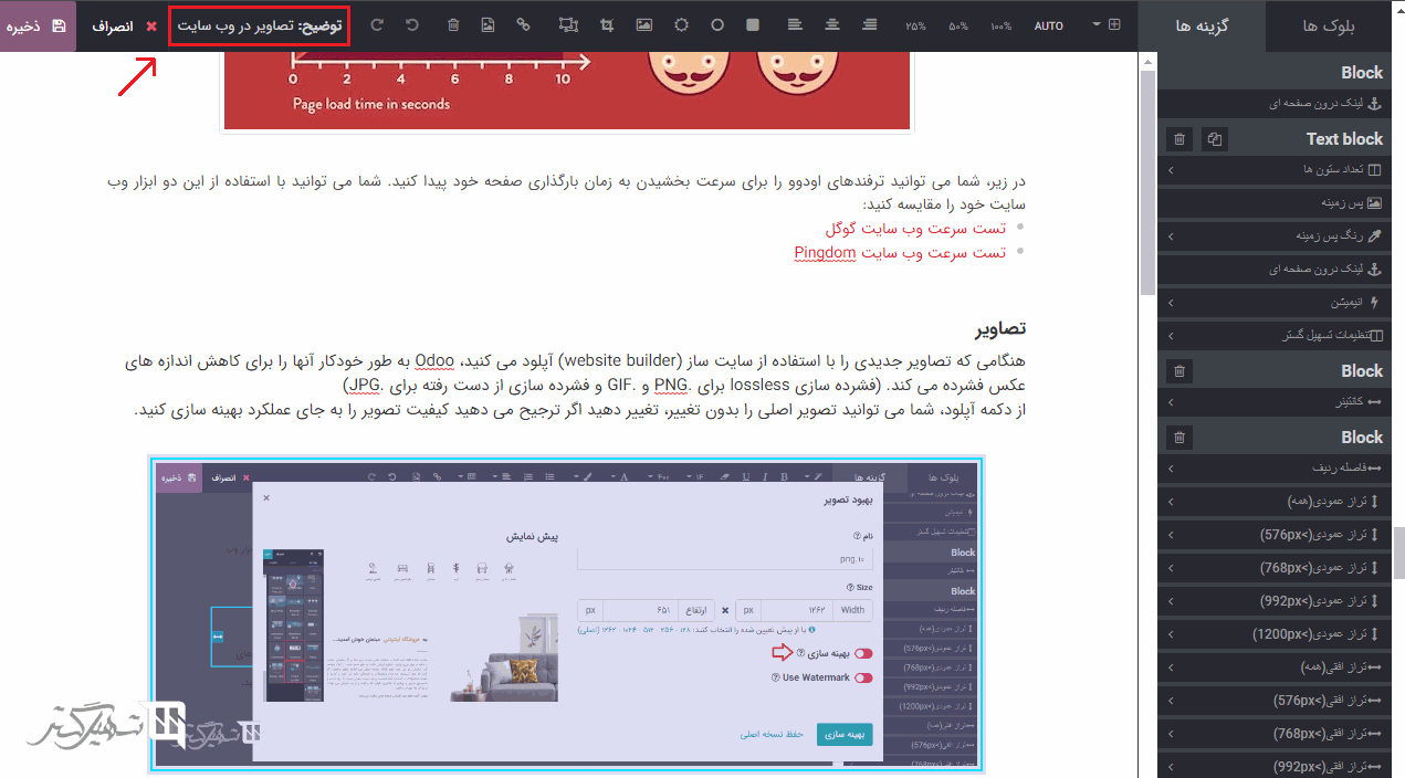 تصاویر در وب سایت