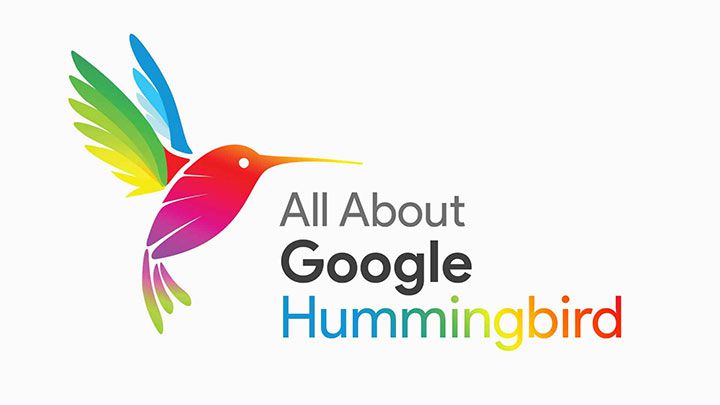 الگوریتم مرغ مگس خوار (Google Hummingbird)