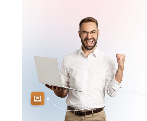 نرم‌افزار صفحه گسترده (BI: هوش تجاری)