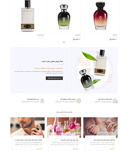 Tashilgostar Website App demo